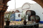 tequila factory