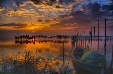 albufera-valencia