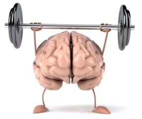 brain-weights