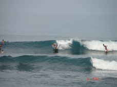 Imagen 014