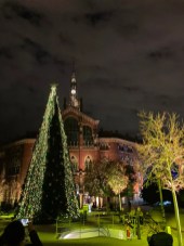 Llums de Sant Pau (11)
