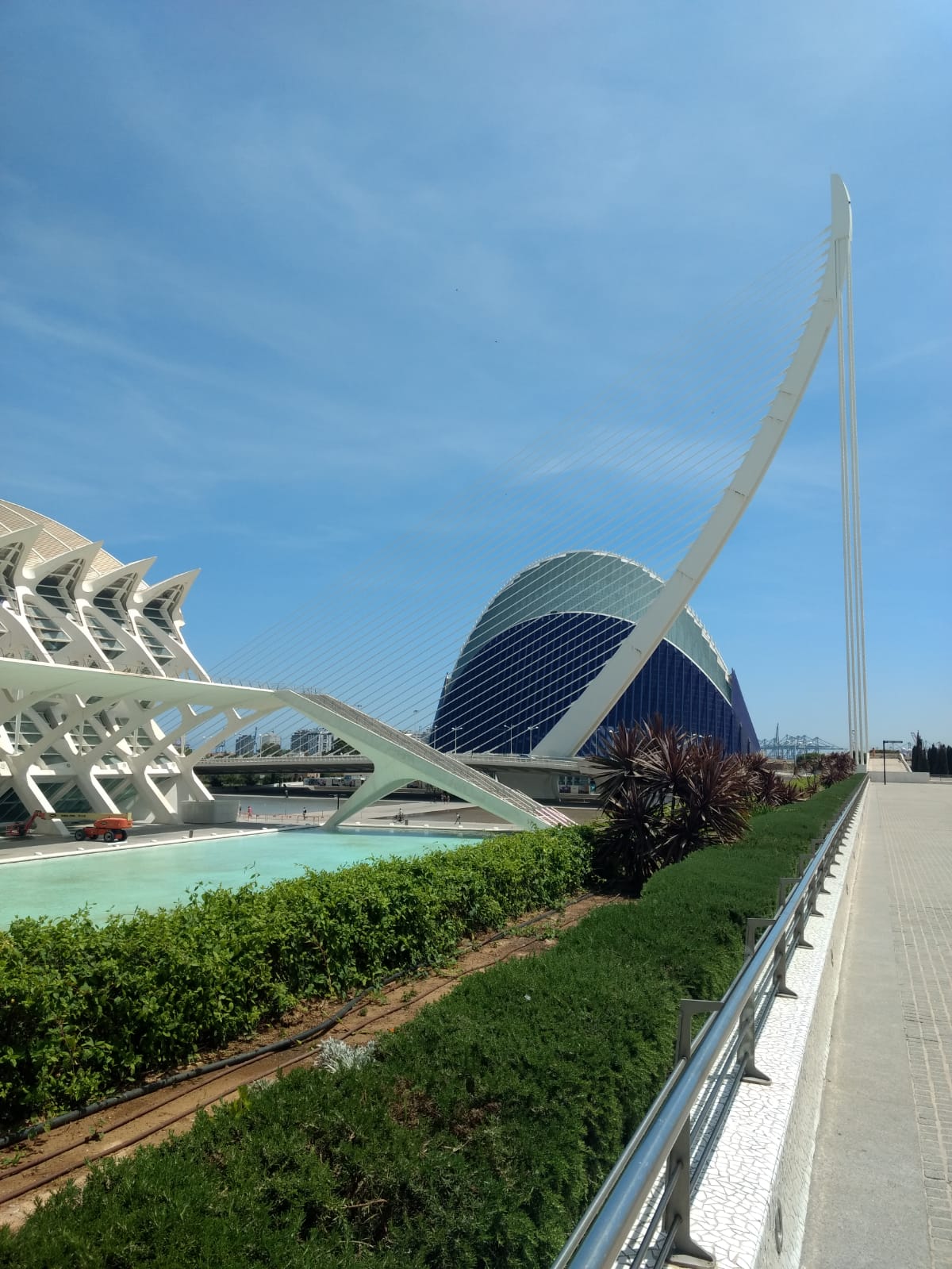 Oceanográfico de Valencia