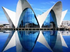 oceanographic-reflection_6511_600x450
